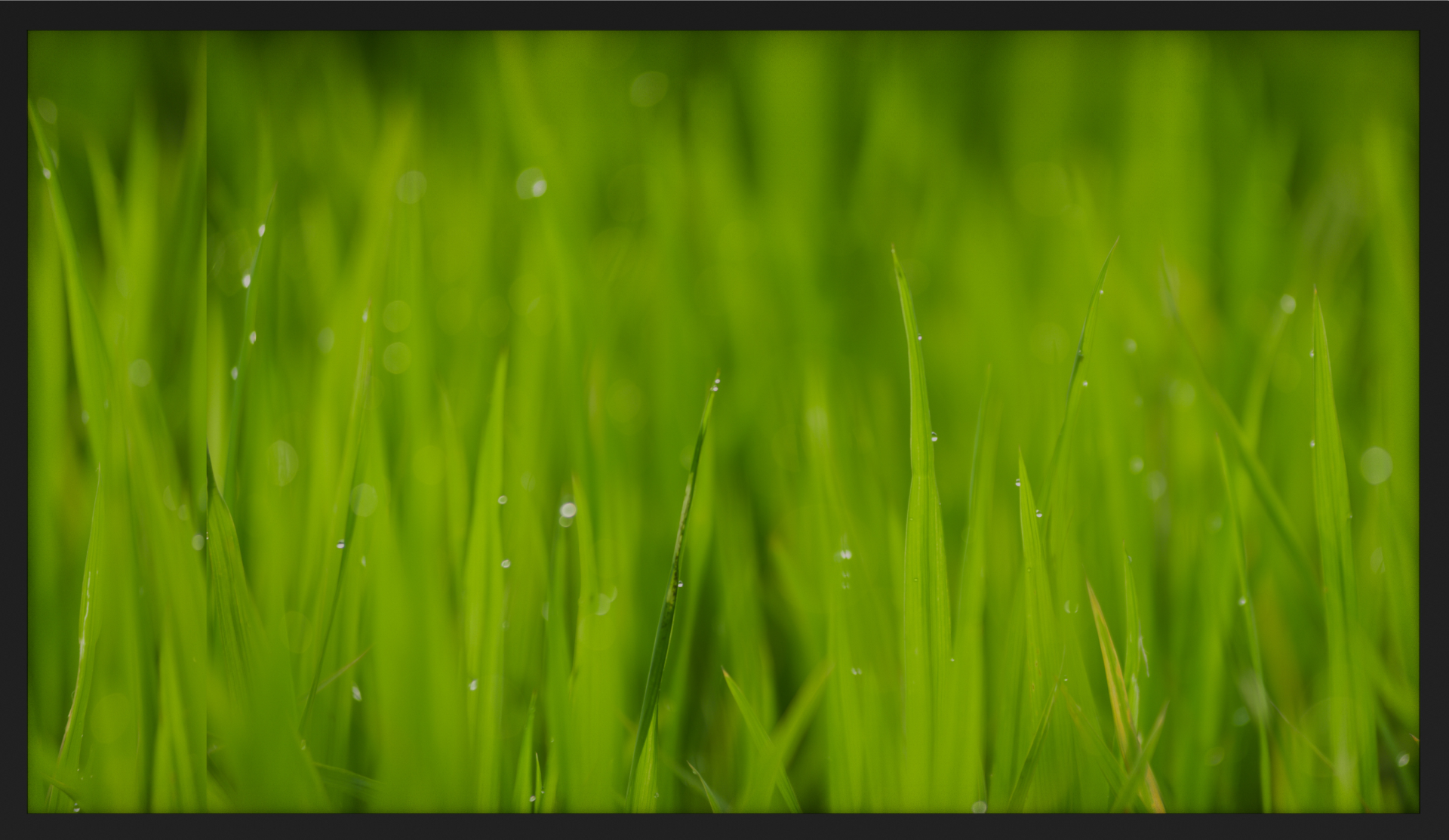 Waterproof TV