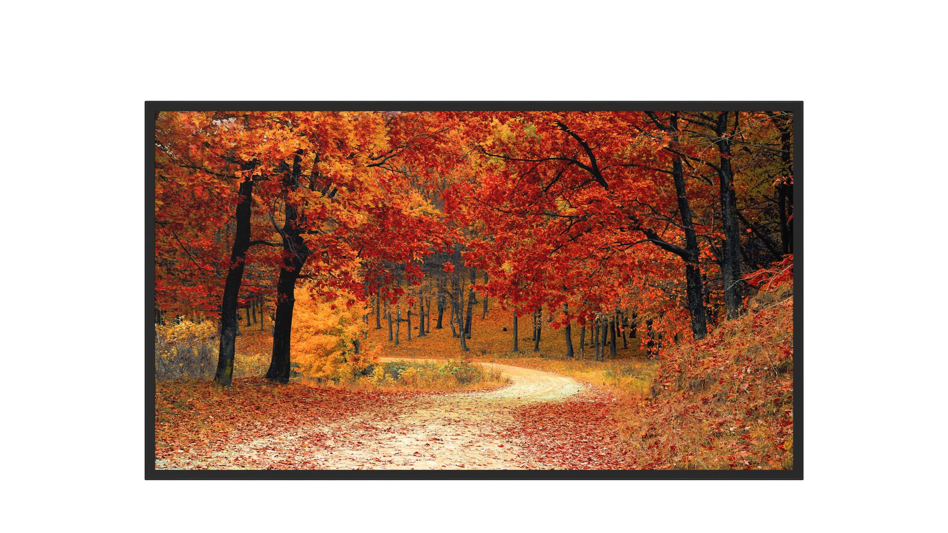 32-inch wall-mounted monitor with non-tempered glass