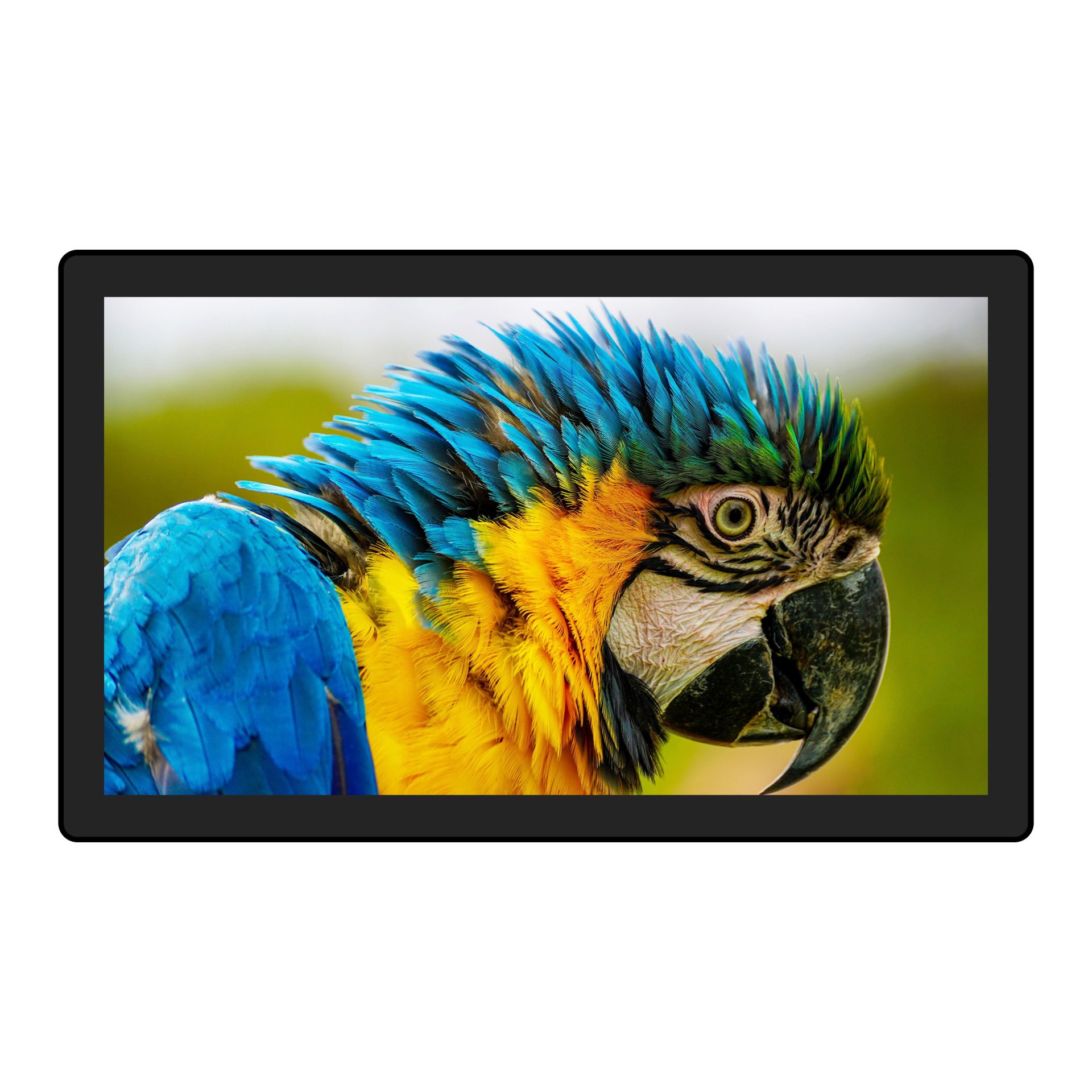 32-inch wall-mounted capacitive touch advertising machine