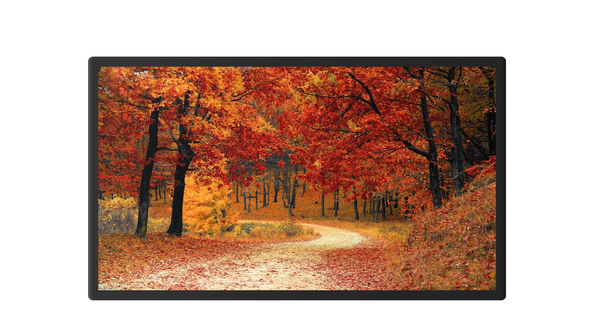 32-inch wall-mounted rounded corner with tempered glass regular model