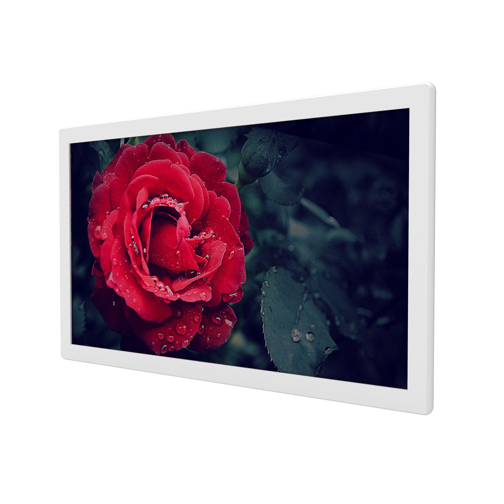 32-inch wall-mounted standard advertising display
